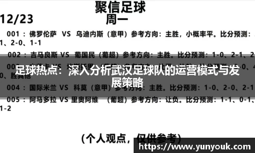 足球热点：深入分析武汉足球队的运营模式与发展策略